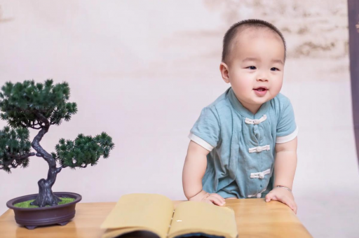 乐平可爱的企鹅宝宝